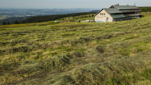 Pokosená louka na Zadních Rennerovkách (foto: Kamila Antošová, archiv Správy KRNAP)