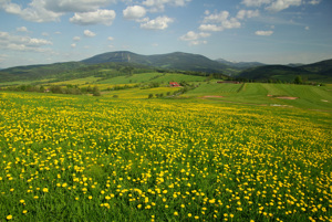 Pohled z Pekelského vrchu k horám 
