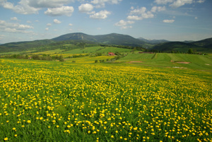 Pohled z Pekelského vrchu k horám