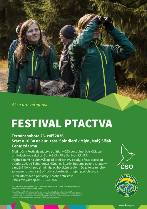 Festival ptactva