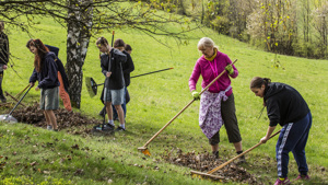 Hrabání loňské trávy – stařiny na botanické lokalitě nad Bolkovem. Foto: Kamila Antošová, Správa KRNAP