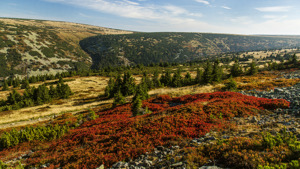 Stříbrný hřeben a údolí Bílého Labe v podzimních barvách, foto Kamila Antošová, archiv Správy KRNAP