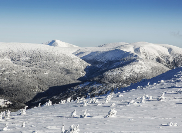 Pohled z Vrbatova návrší přes údolí Bílého Labe, Kozí hřbety, Luční a Studniční horu na Sněžku