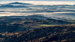 Pavel Musil: Mlhy nad krajem