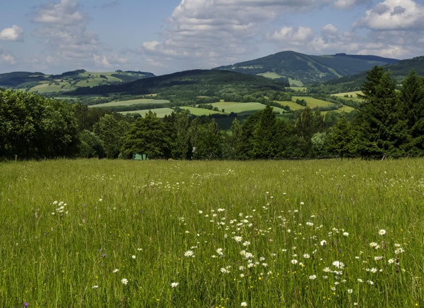 Ilustrační foto: Rozkvetlá louka na Bíneru (archiv Správy KRNAP)
