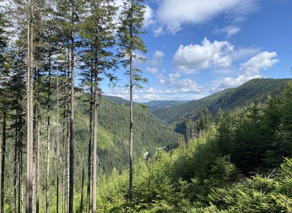 Krakonošovo údolí, Radek Drahný, archiv Správy KRNAP