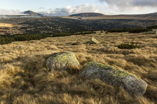 Wandering stone blocks at Čertovo návrší Hillock