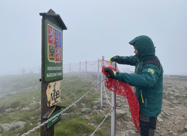 Instalace ochranných sítí na Sněžce. Foto: Radek Drahný, archiv Správy KRNAP