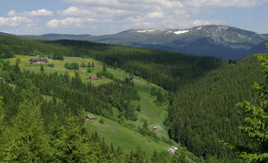 Luční enkláva - Javorské Boudy
