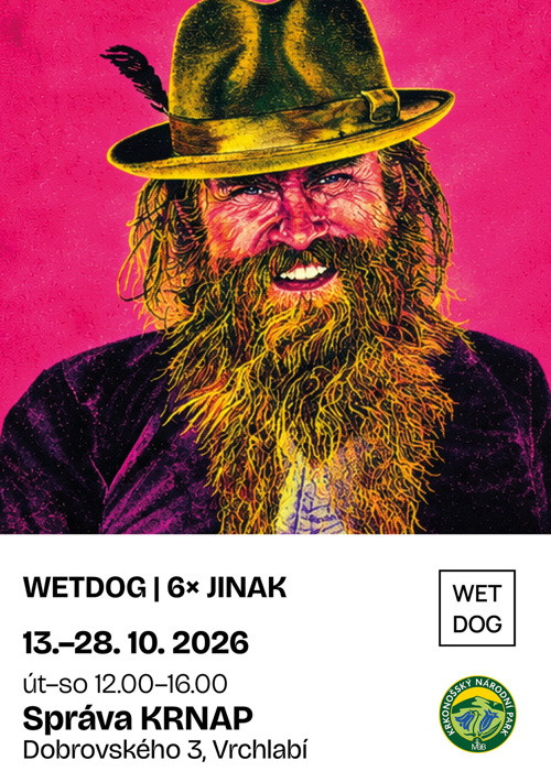 WETDOG | 6× JINAK