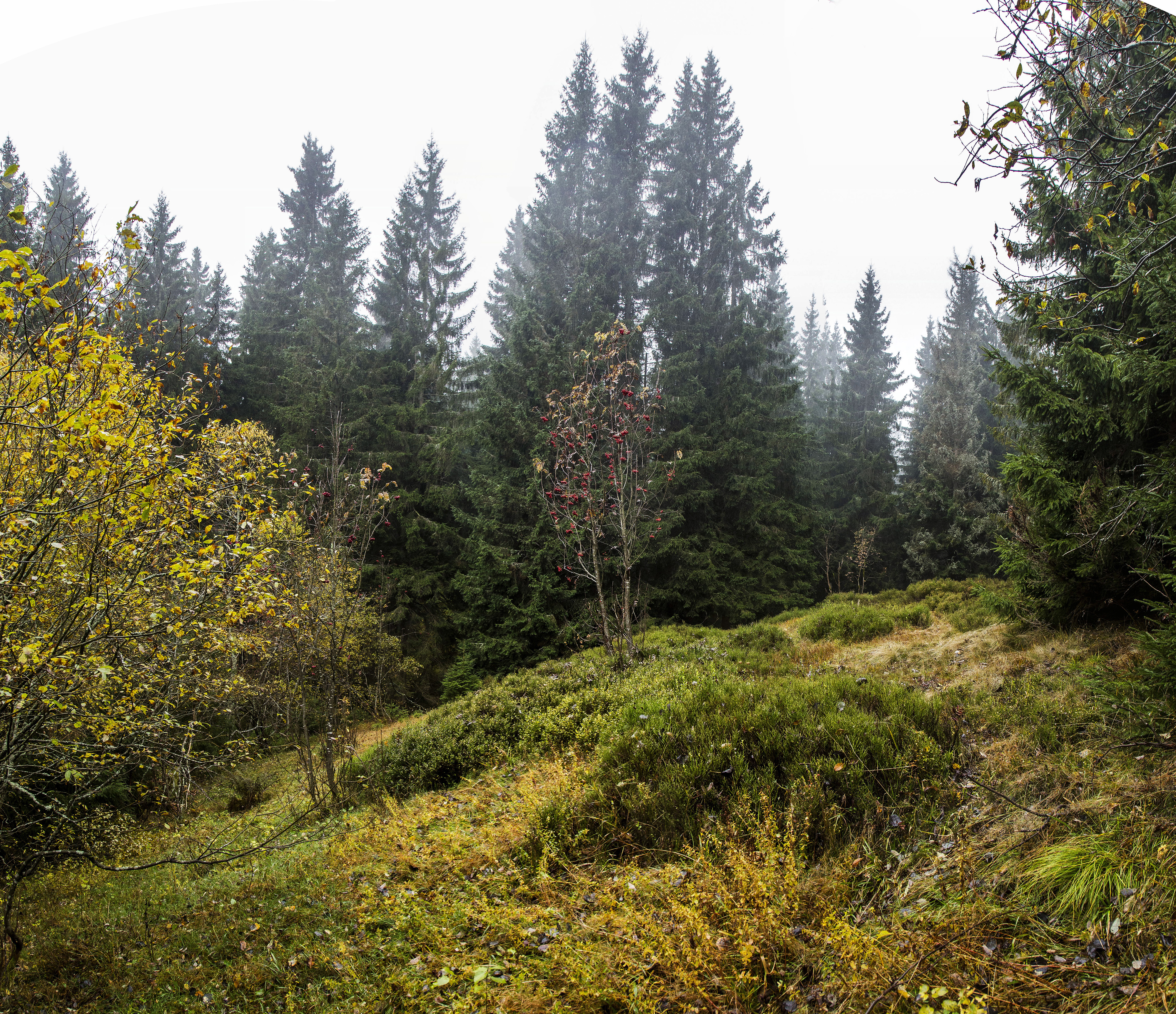 Pozůstatek ledovcové morény v daném místě, Kamila Antošová, archiv Správy KRNAP